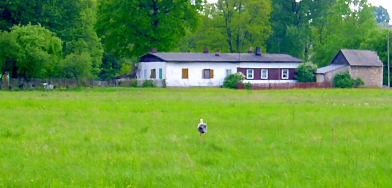 Apartamenty Przeczyce * Przeczyce